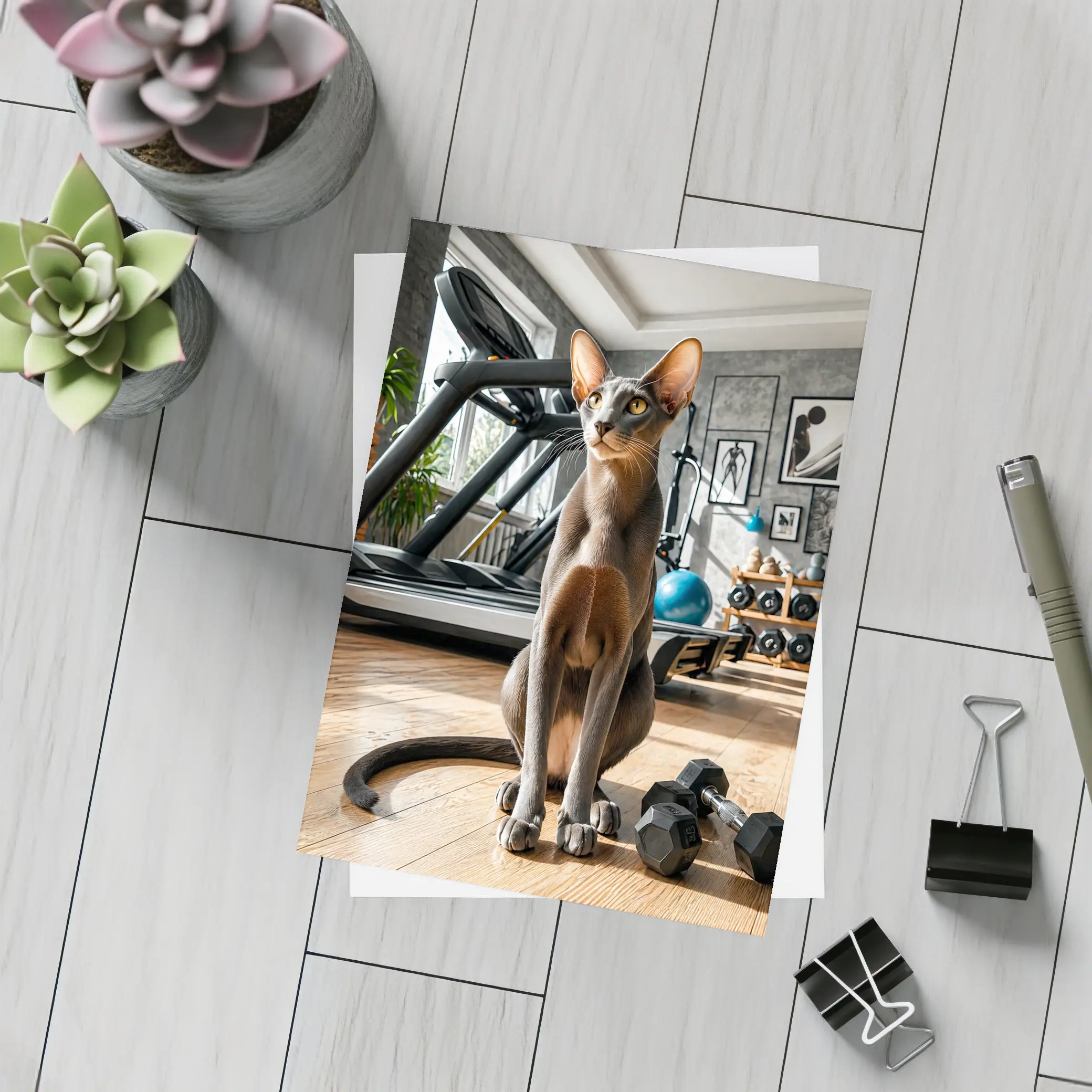 Oriental Shorthair Cat in Home Gym – Postcards