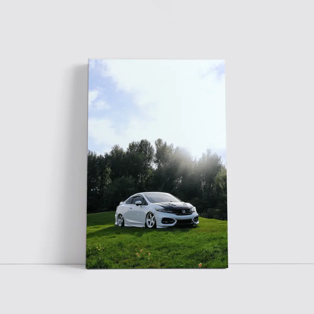 Honda Civic Coupe Slammed Green Hillside – Wall Art