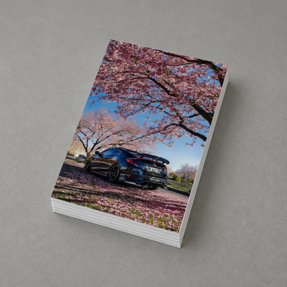 Black Honda Civic Under Cherry Blossom Trees – Postcards
