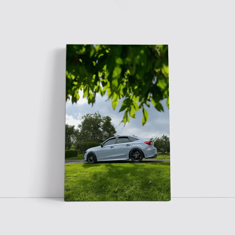 Honda Civic Silver Sedan Green Park Setting – Wall Art