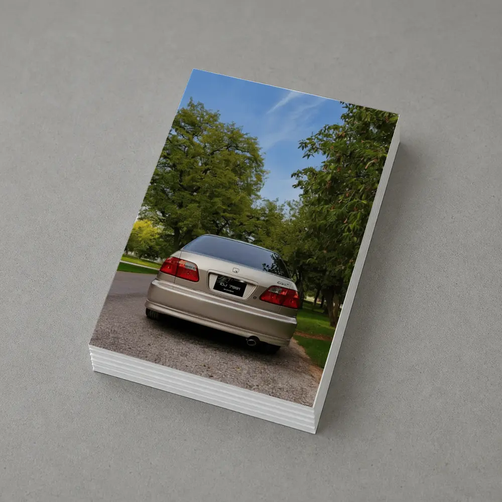 Honda Civic Sedan Rear View Green Trees – Postcards