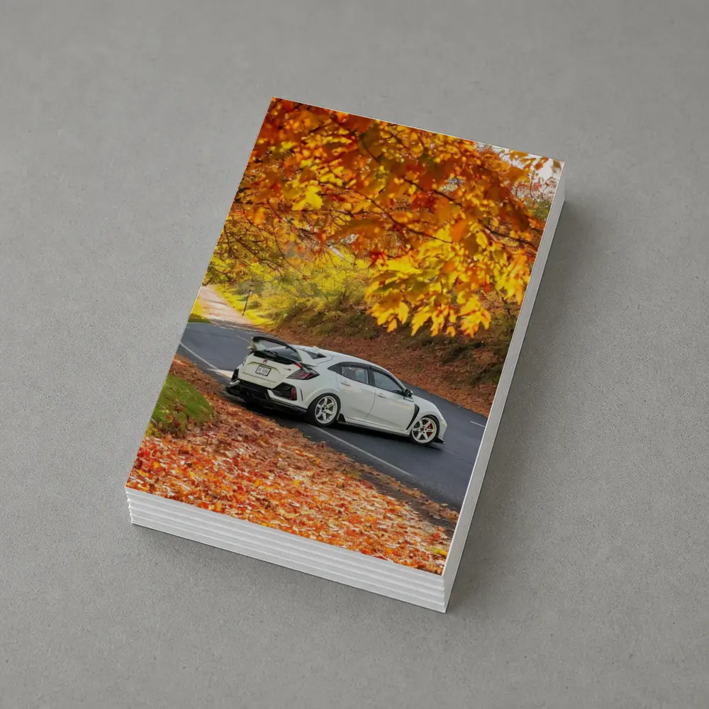 Honda Civic Type R White Autumn Road – Postcards
