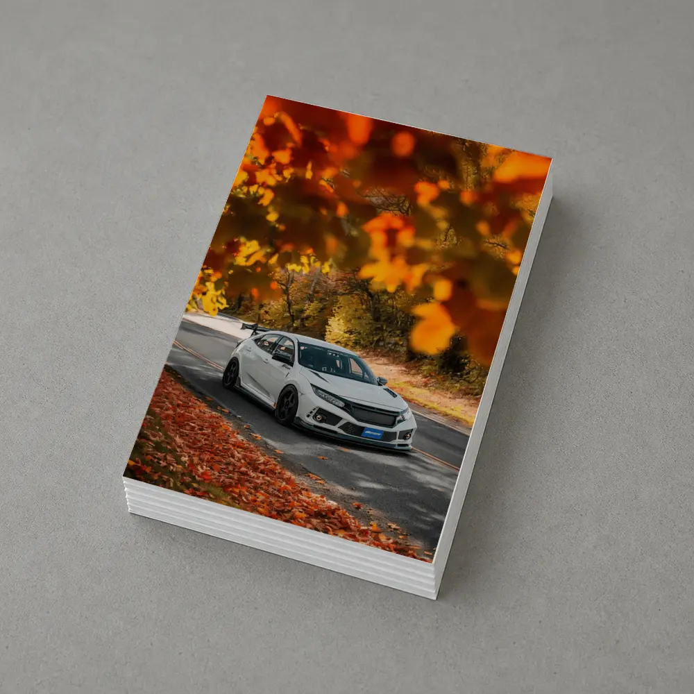 Honda Civic Type R White Autumn Road – Postcards