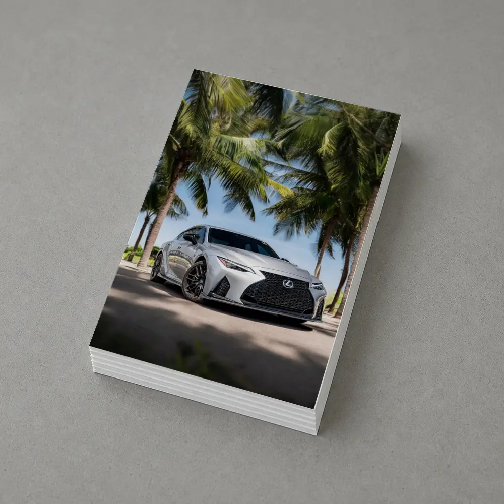 Lexus IS Silver Sedan Under Palm Trees – Postcards
