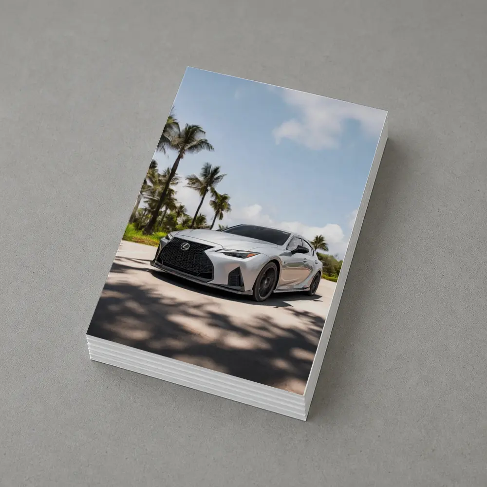Lexus IS Silver Sports Sedan Palm Trees – Postcards