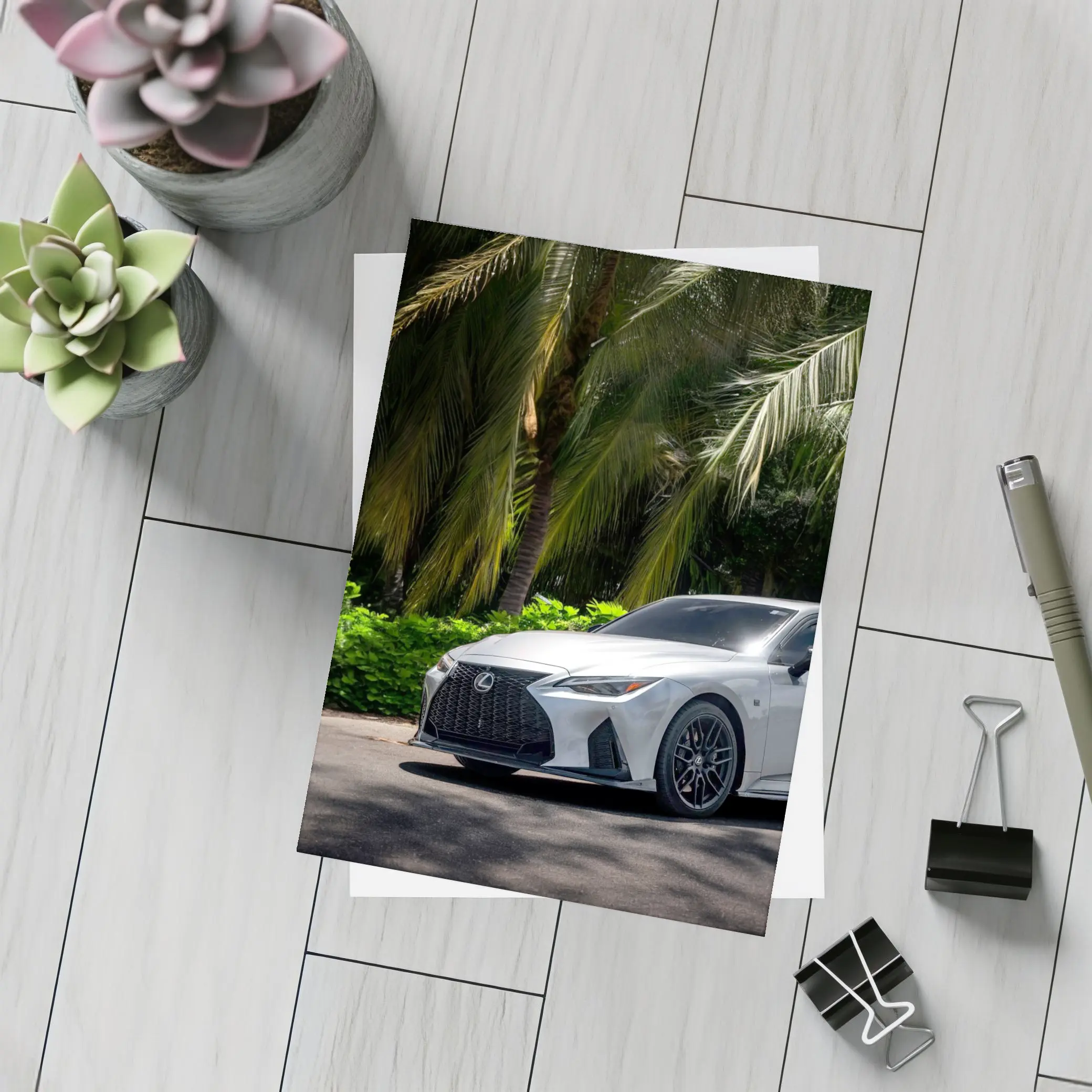Lexus IS 500 Parked Under Tropical Palms – Postcards