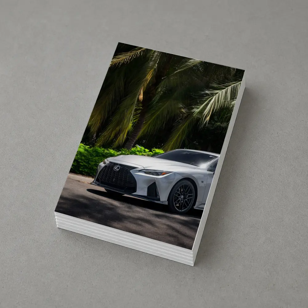 Lexus IS 500 Parked Under Tropical Palms – Postcards