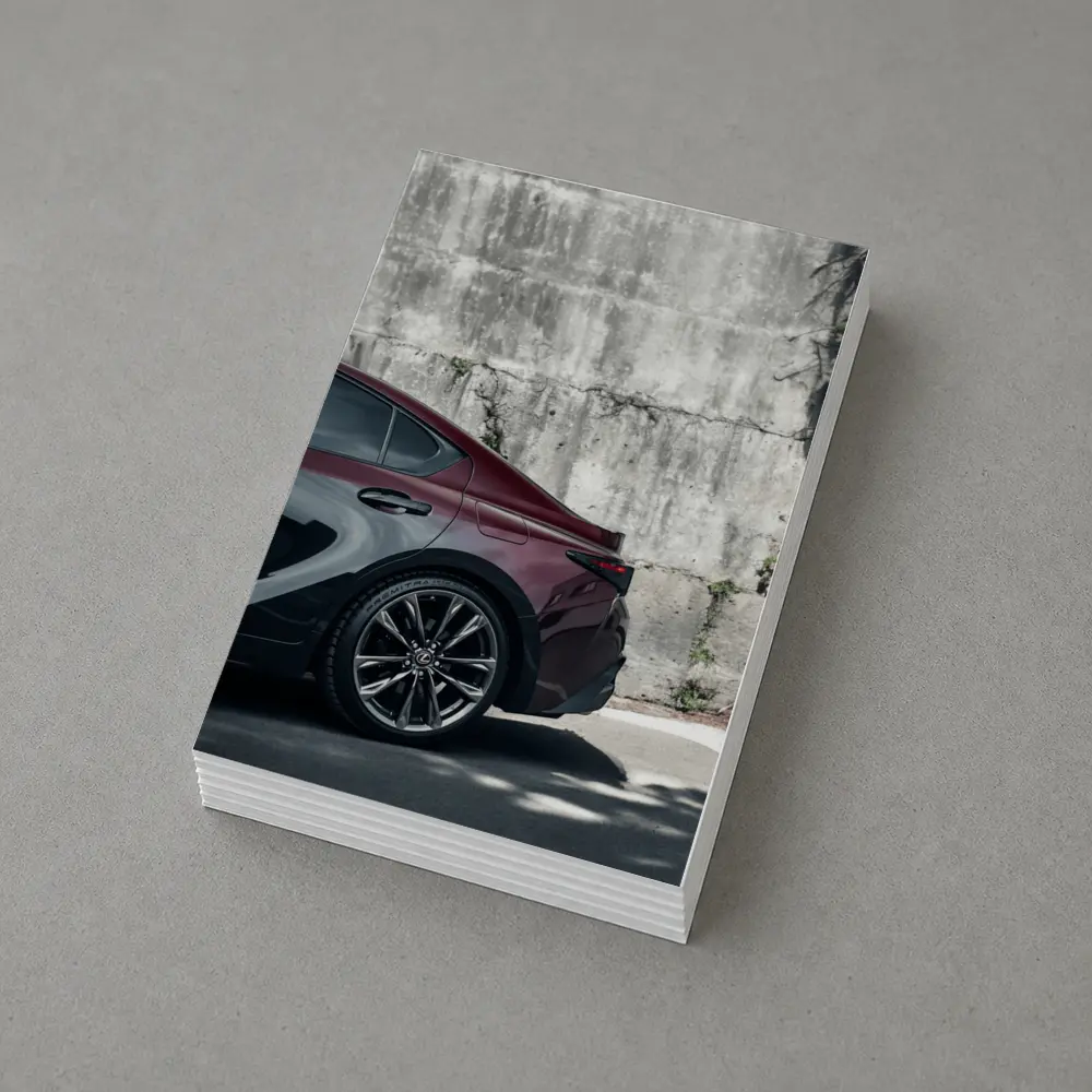 Lexus IS Rear View Against Concrete Wall – Postcards