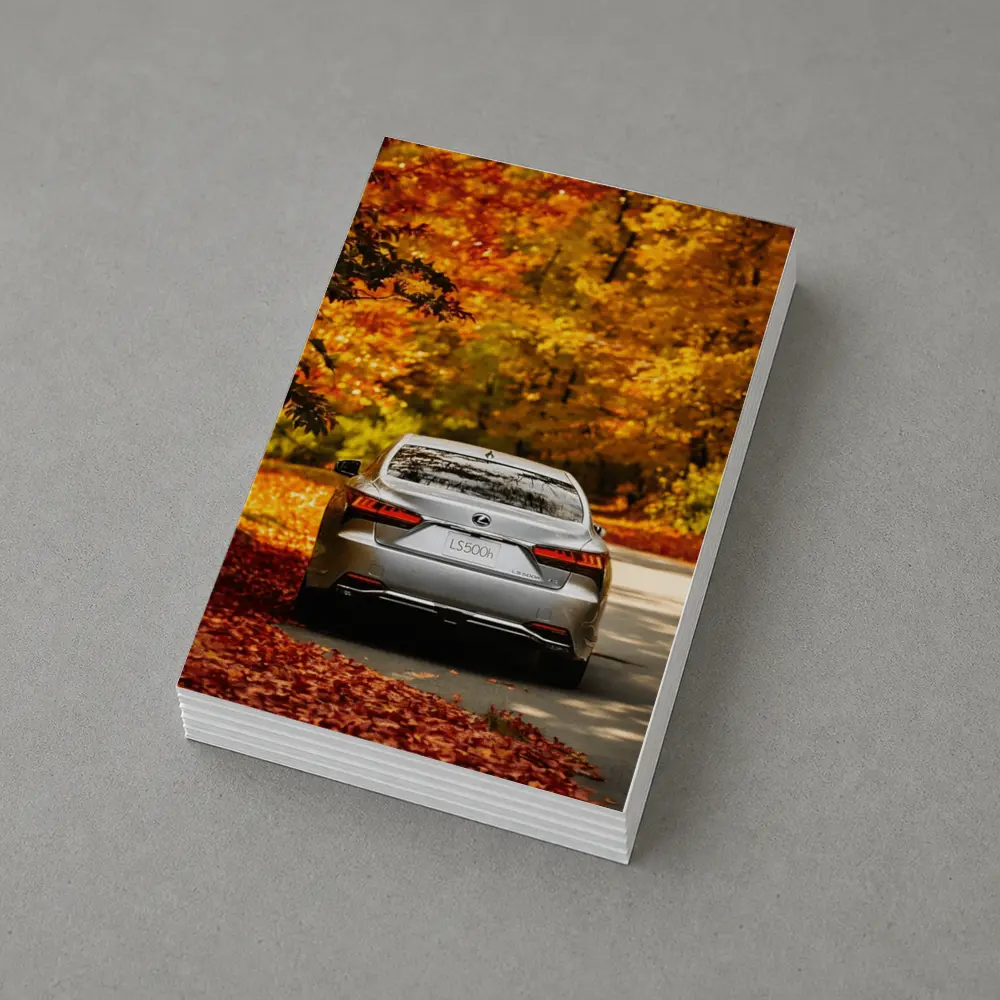 Lexus LS500h Silver Sedan Autumn Forest Road – Postcards
