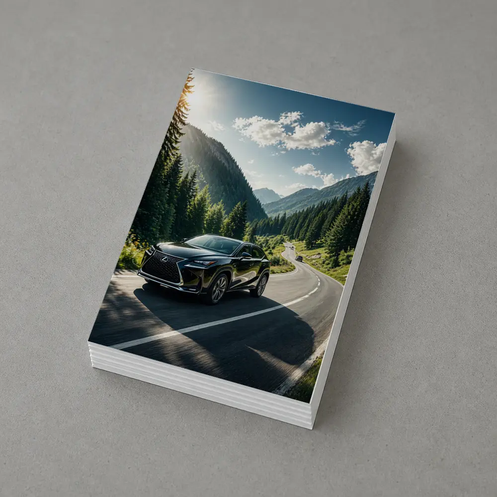 Lexus NX Mountain Road Black SUV – Postcards