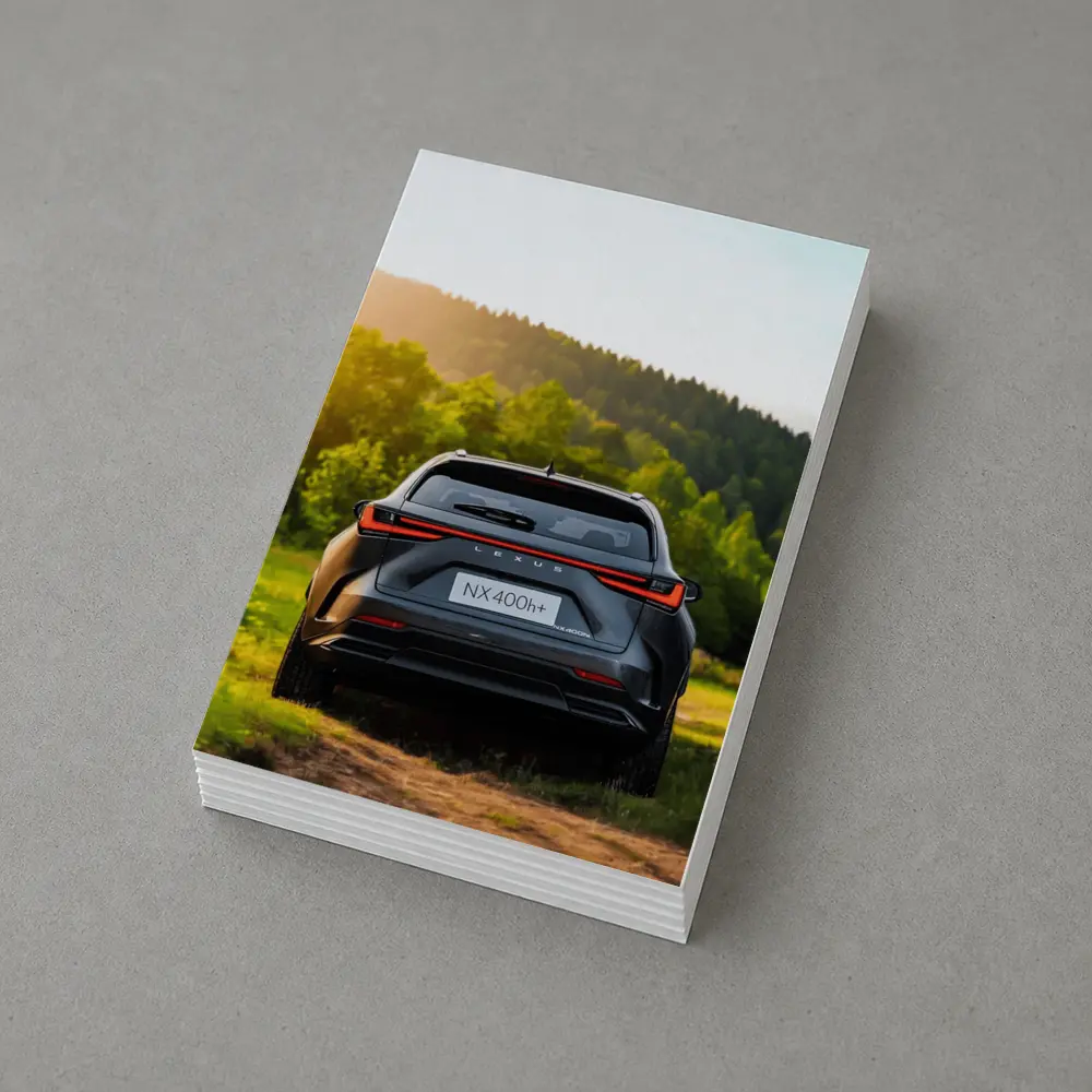 Lexus NX400h Rear View Forest Setting – Postcards