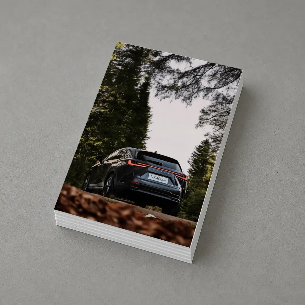 Lexus NX400h Rear View Forest Setting – Postcards