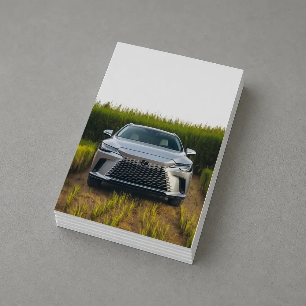 Lexus RX Silver SUV Green Field – Postcards