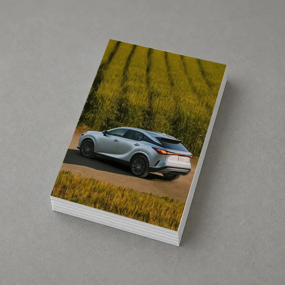 Lexus RX Hybrid Silver SUV Green Field – Postcards