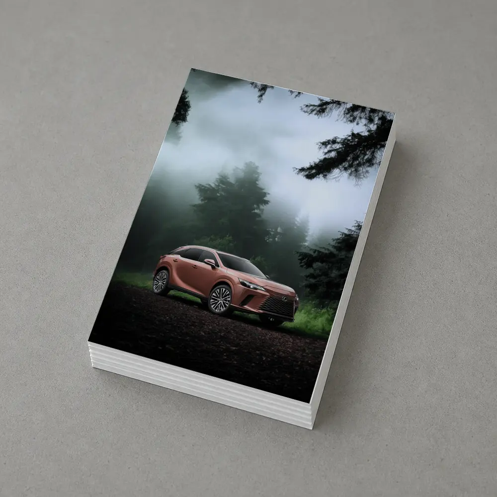 Lexus RX Copper Tone Misty Forest – Postcards