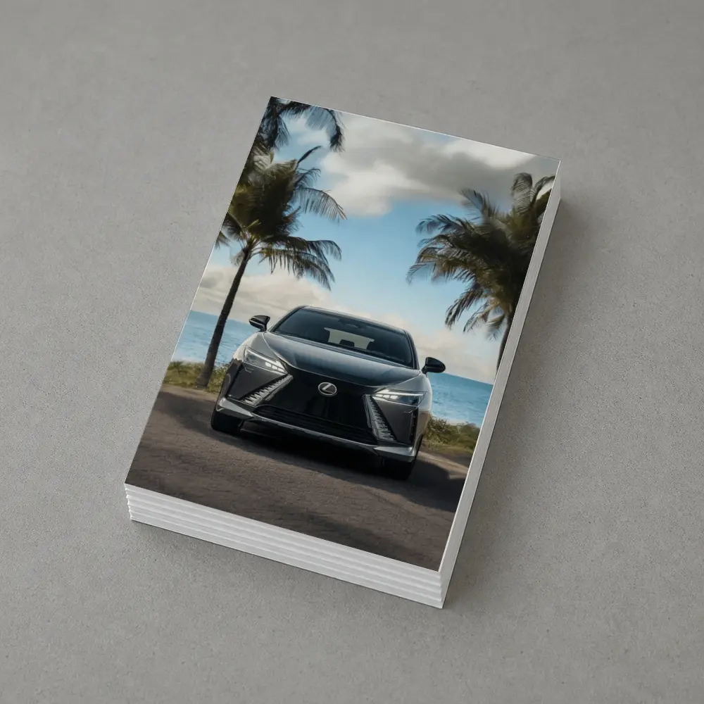 Lexus RZ Front View Beach Palm Trees – Postcards
