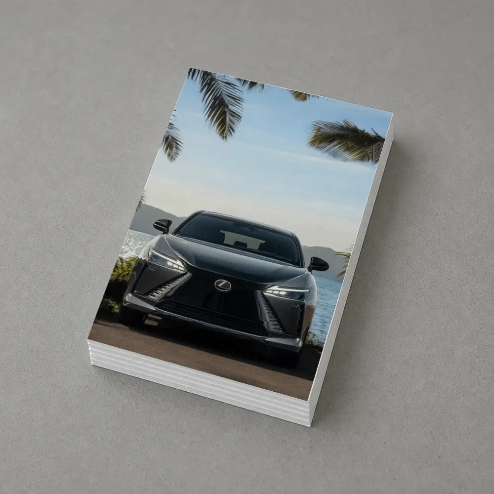 Lexus RZ Front View Coastal Palm Setting – Postcards
