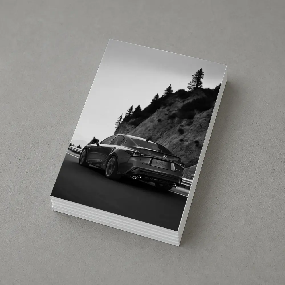 Lexus IS F Sport Black White Mountain Road – Postcards
