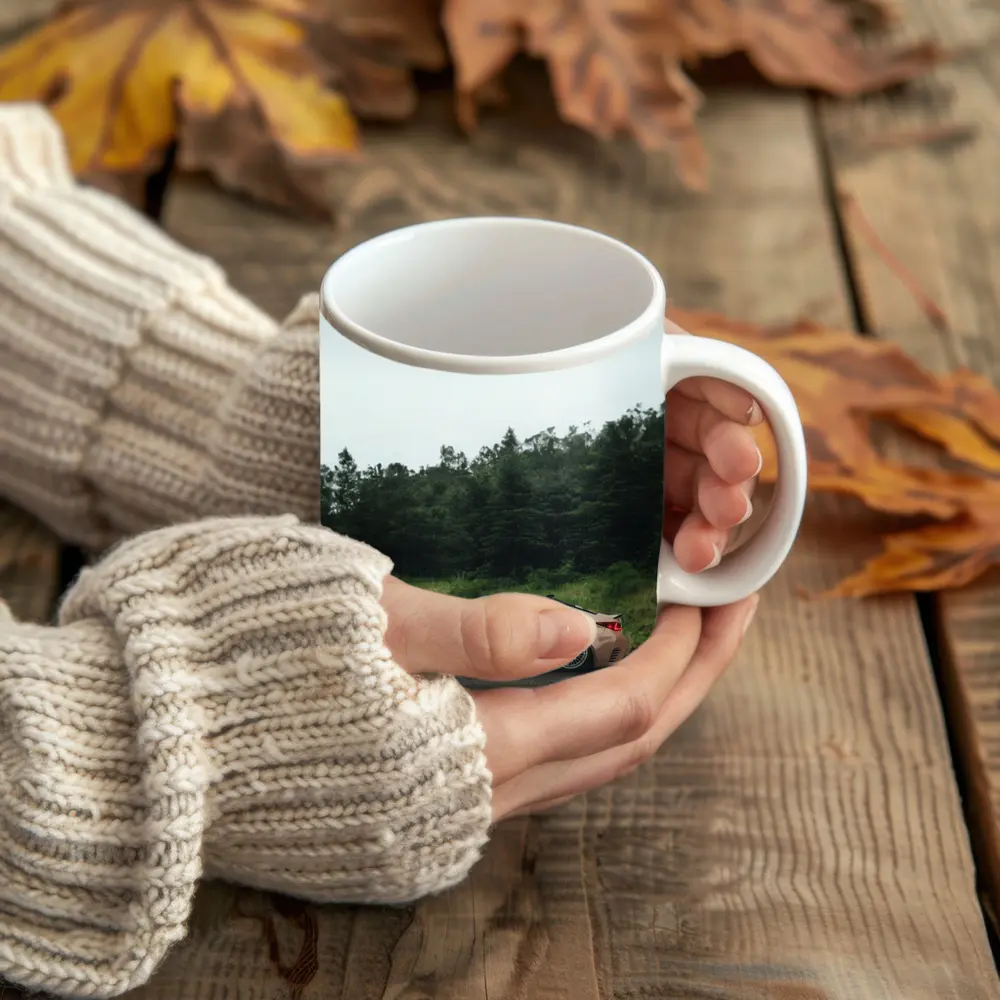 Lexus RC Coupe Rainy Forest Reflection – Mugs