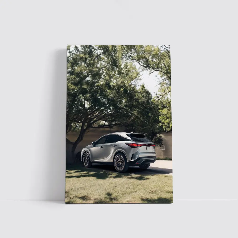 Lexus RX Silver SUV Parked Shaded Driveway – Wall Art