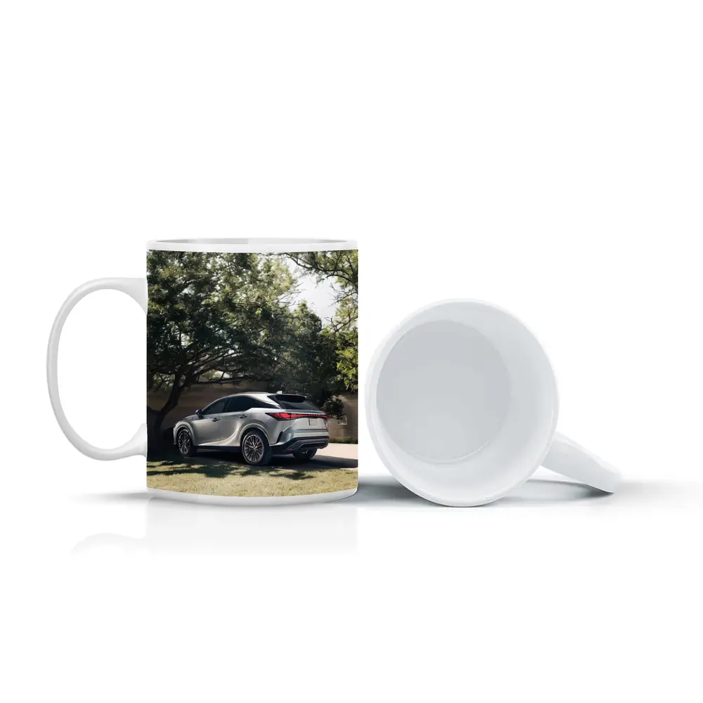 Lexus RX Silver SUV Parked Shaded Driveway – Mugs