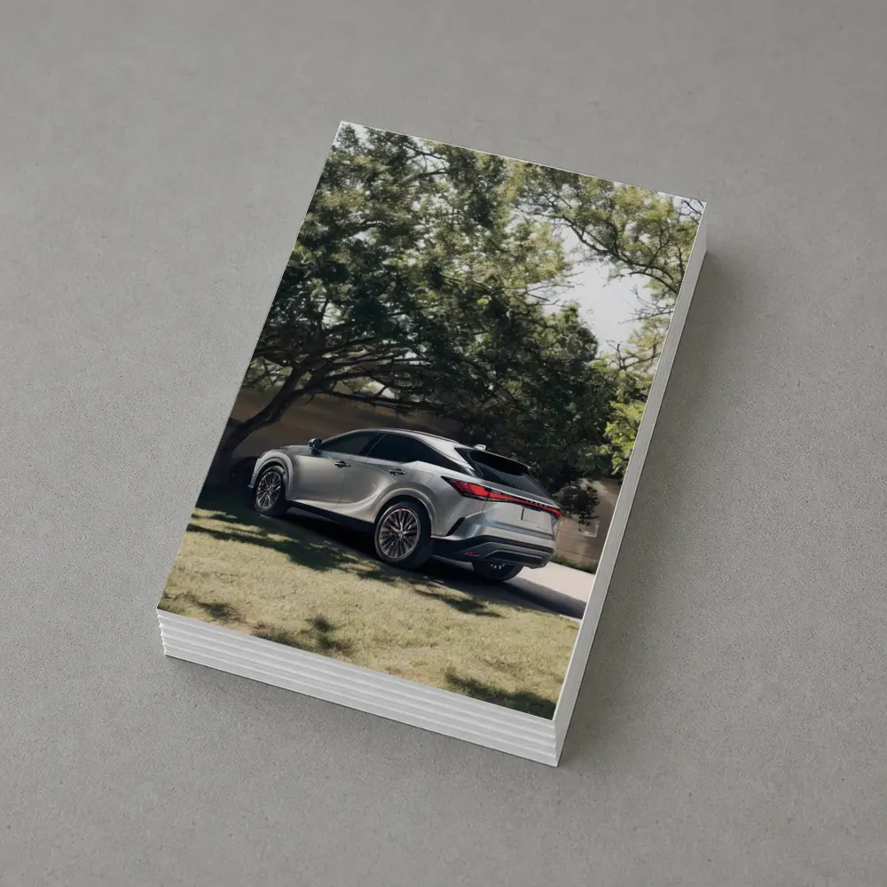 Lexus RX Silver SUV Parked Shaded Driveway – Postcards