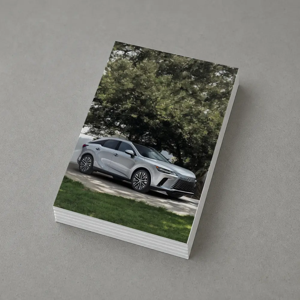 Lexus RX Silver SUV Parked Under Trees – Postcards