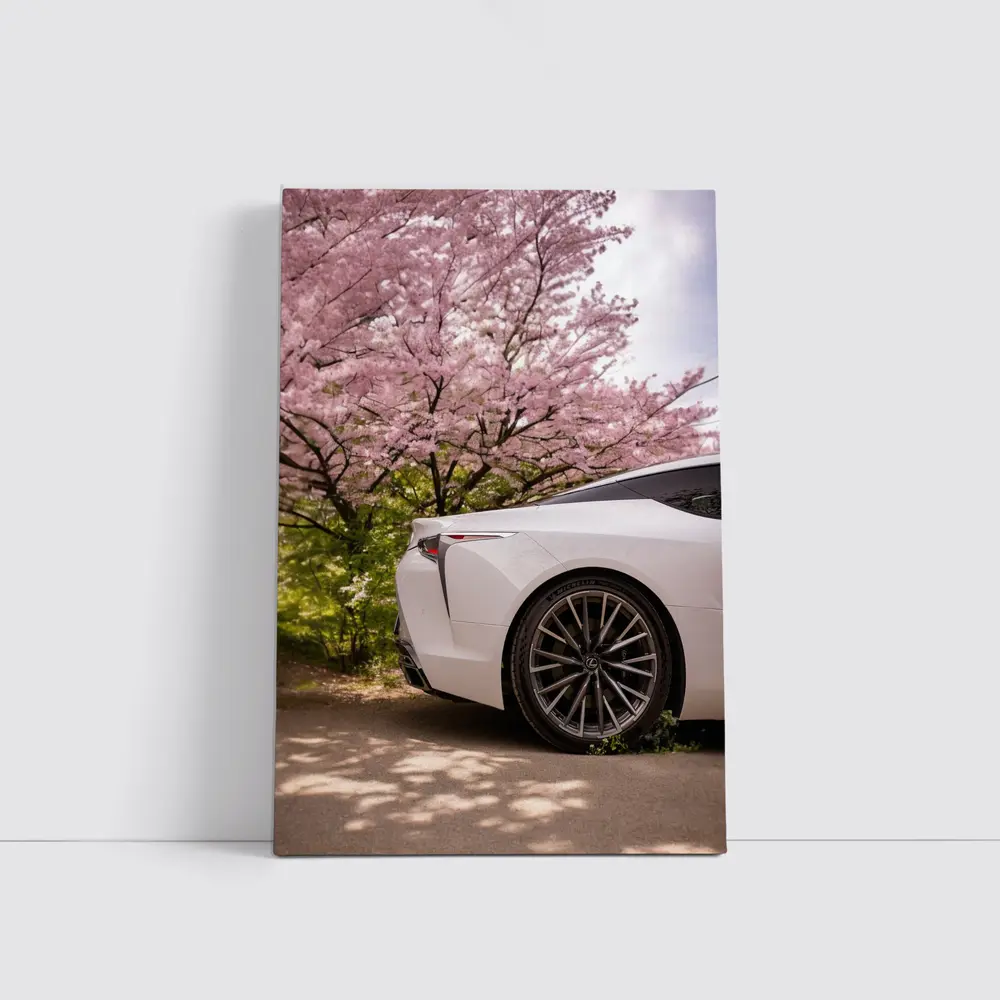 Lexus LC White Car Cherry Blossom Trees – Wall Art