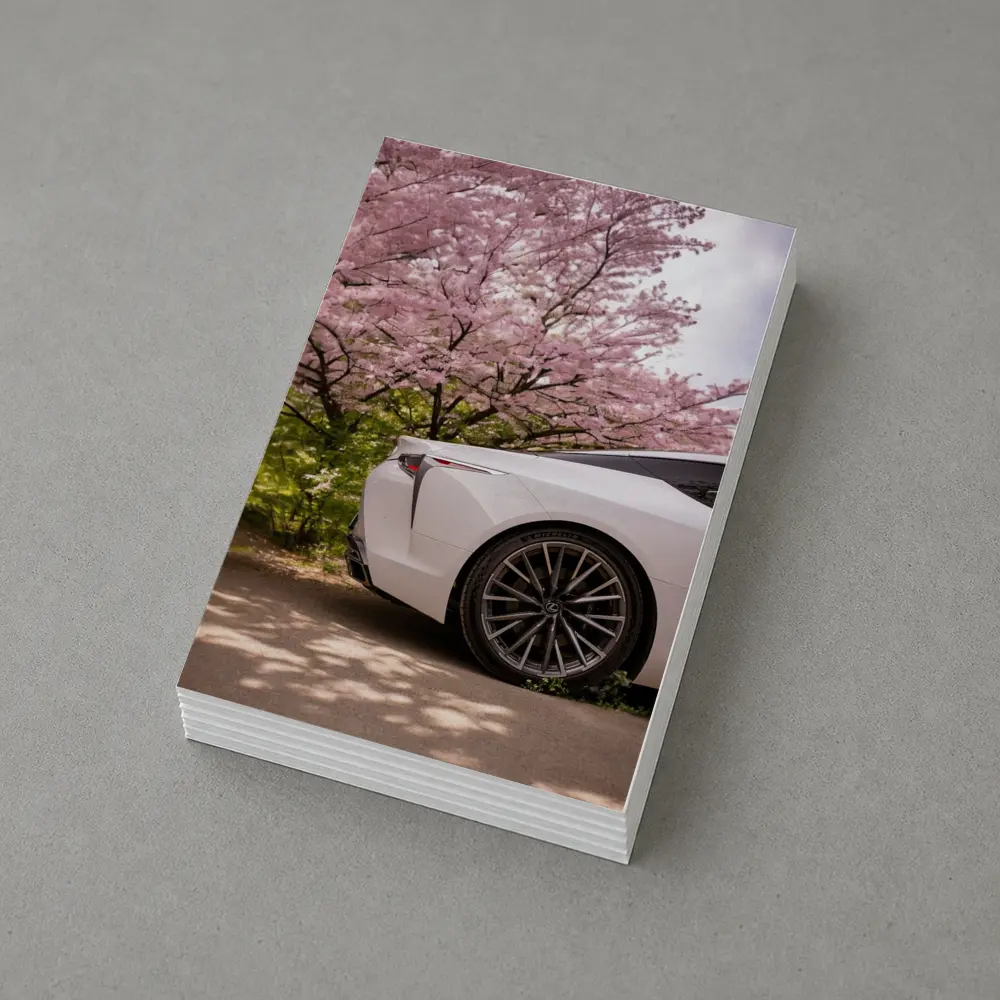 Lexus LC White Car Cherry Blossom Trees – Postcards