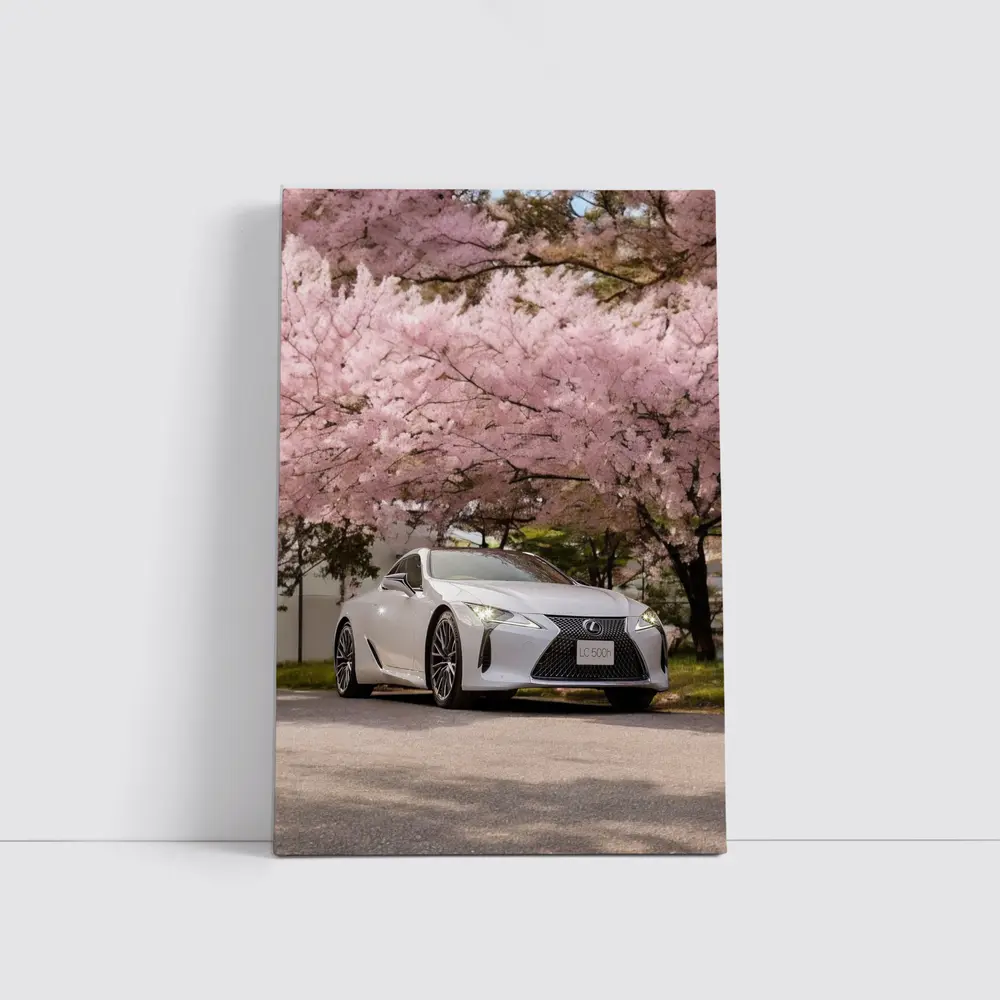 Lexus LC 500h Silver Under Cherry Blossoms – Wall Art
