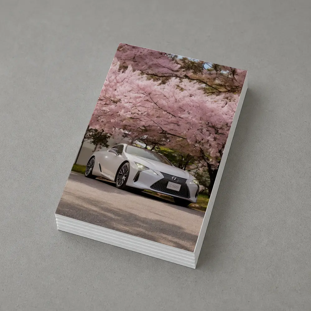Lexus LC 500h Silver Under Cherry Blossoms – Postcards