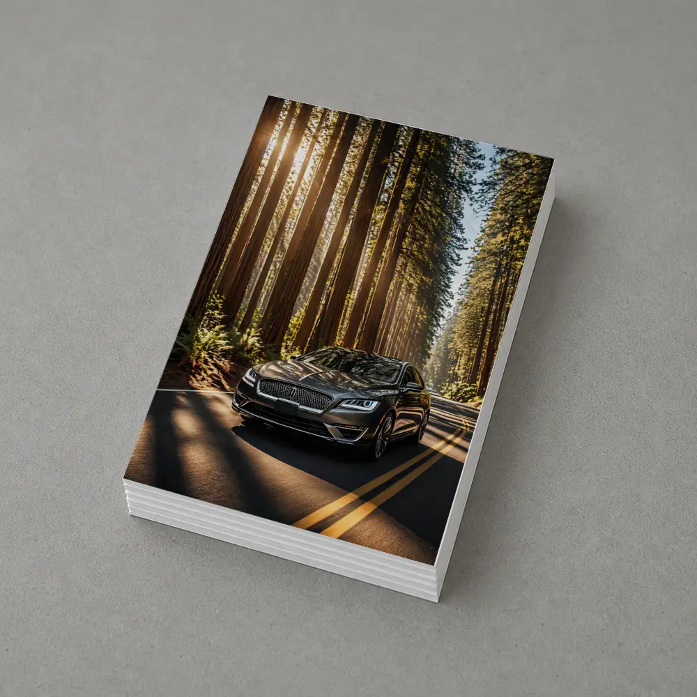 Lincoln MKZ Driving Through Redwood Forest Road – Postcards