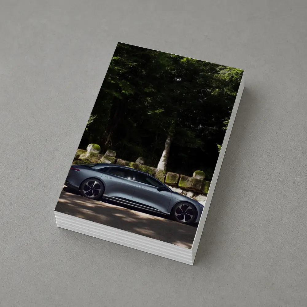Lucid Air Pure Side Profile Forest Setting – Postcards