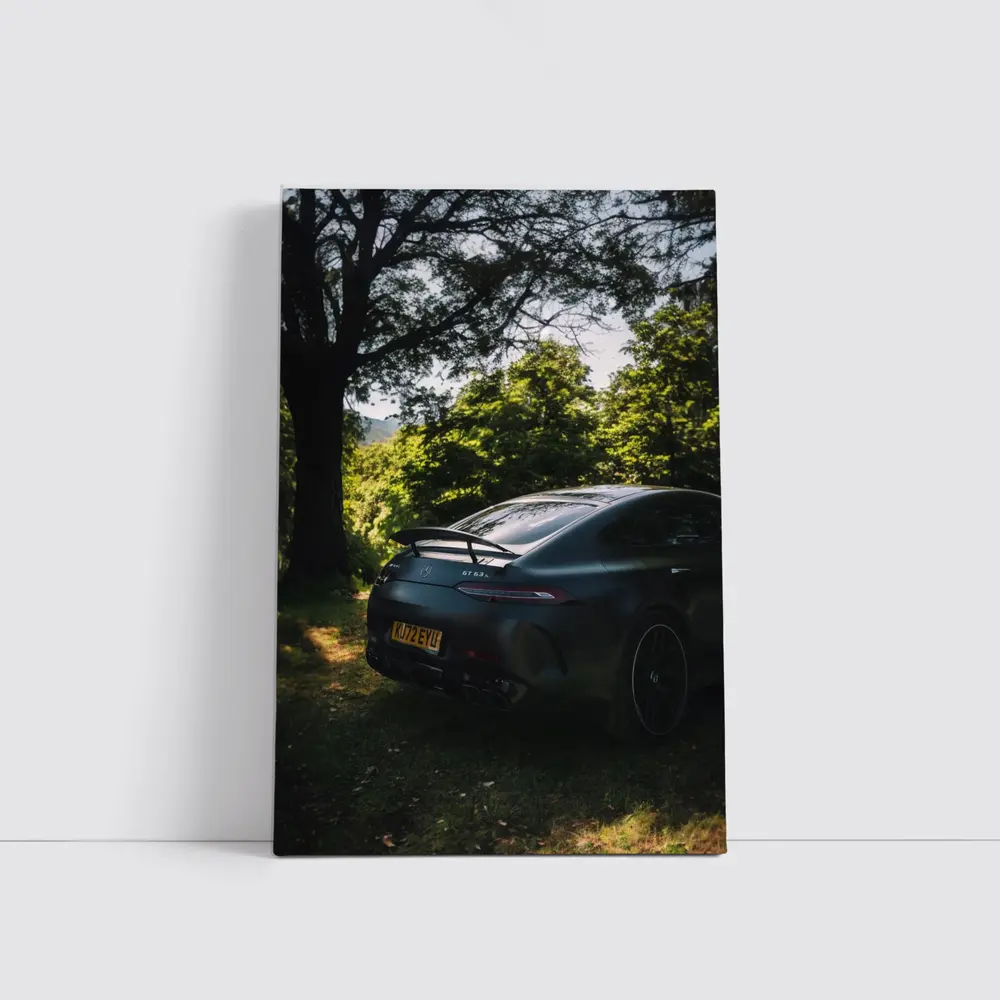 Mercedes AMG GT Matte Black Forest Setting – Wall Art