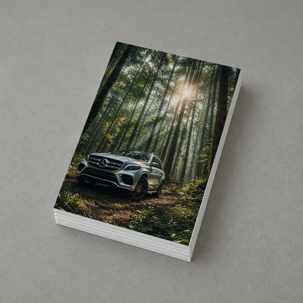 Mercedes Benz GLS Silver SUV Forest Light – Postcards