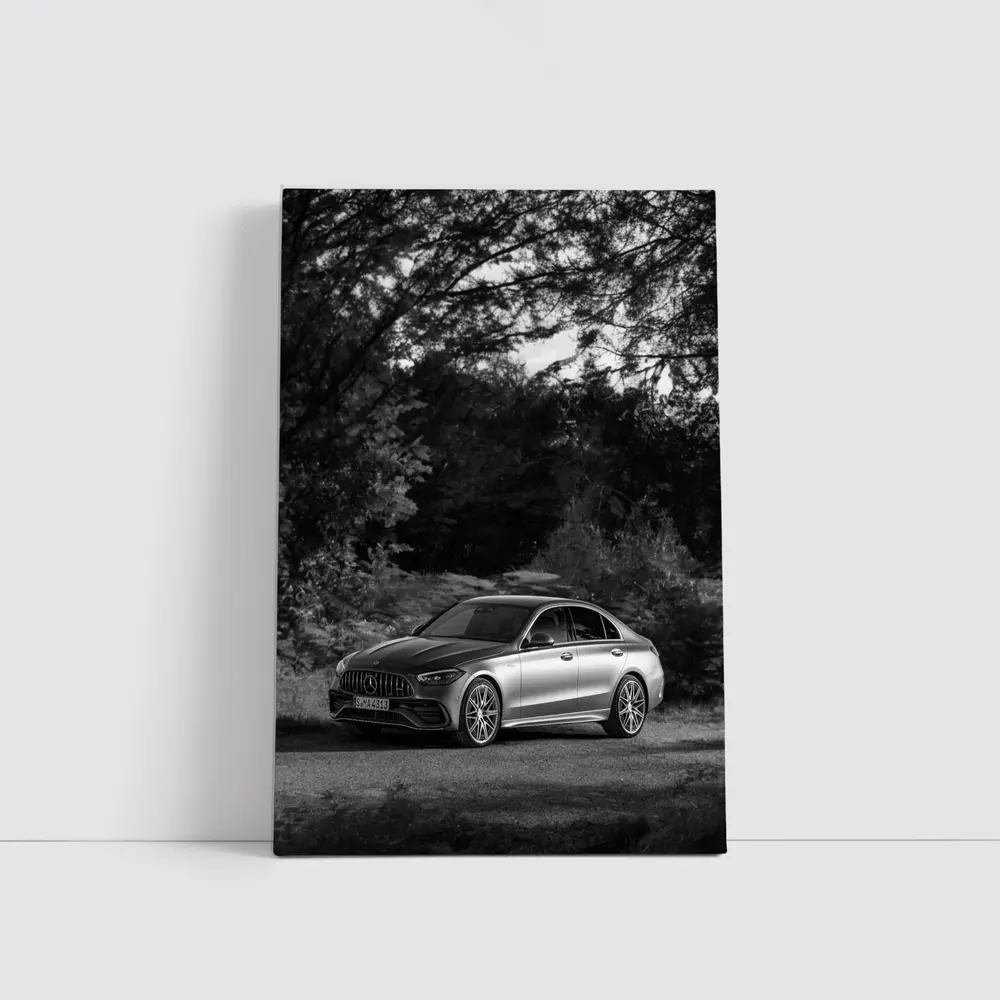 Mercedes AMG C Class Black White Nature – Wall Art