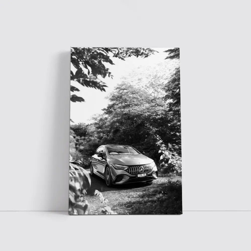 Mercedes AMG EQE Black White Forest Setting – Wall Art