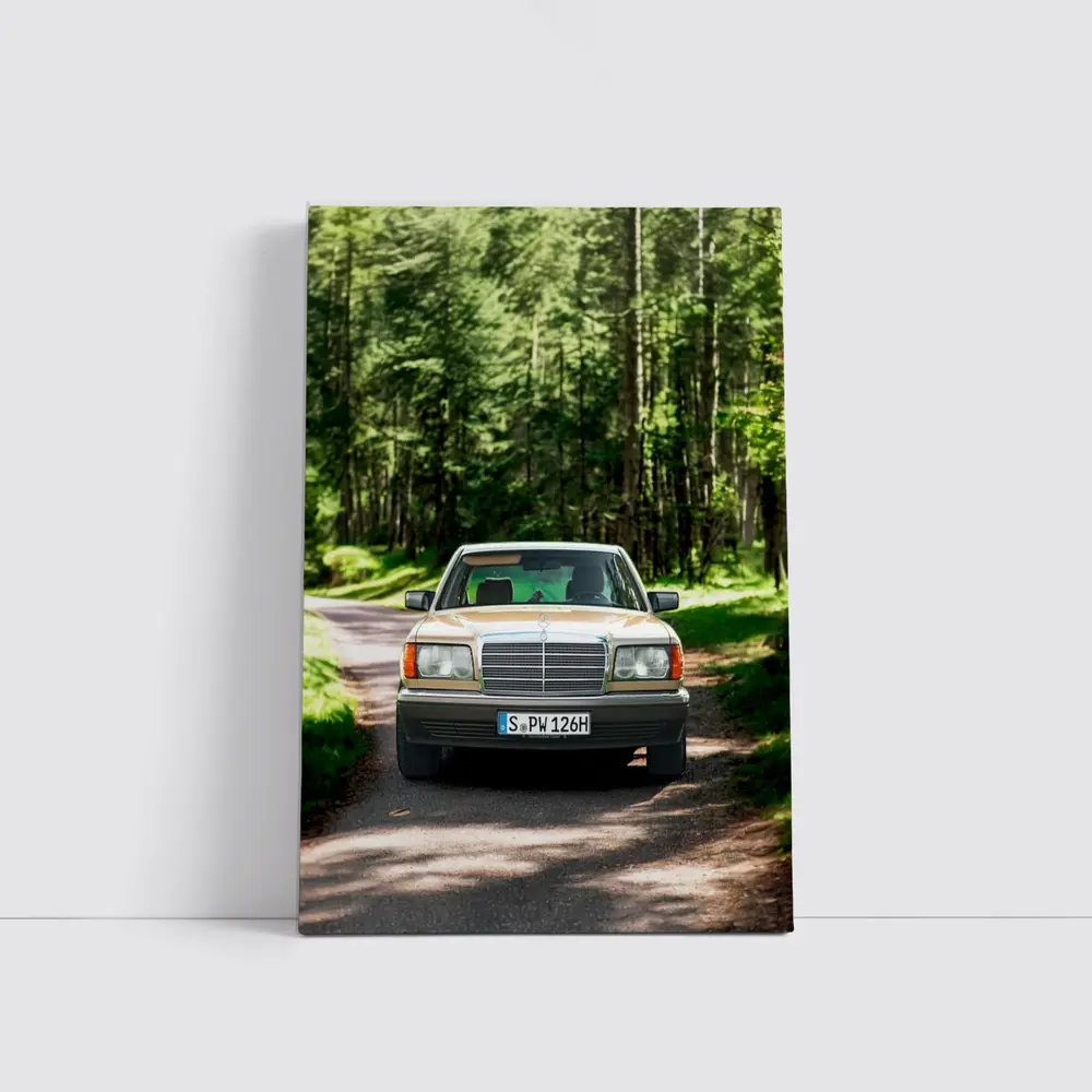 Mercedes S Class Classic Car Forest Road – Wall Art