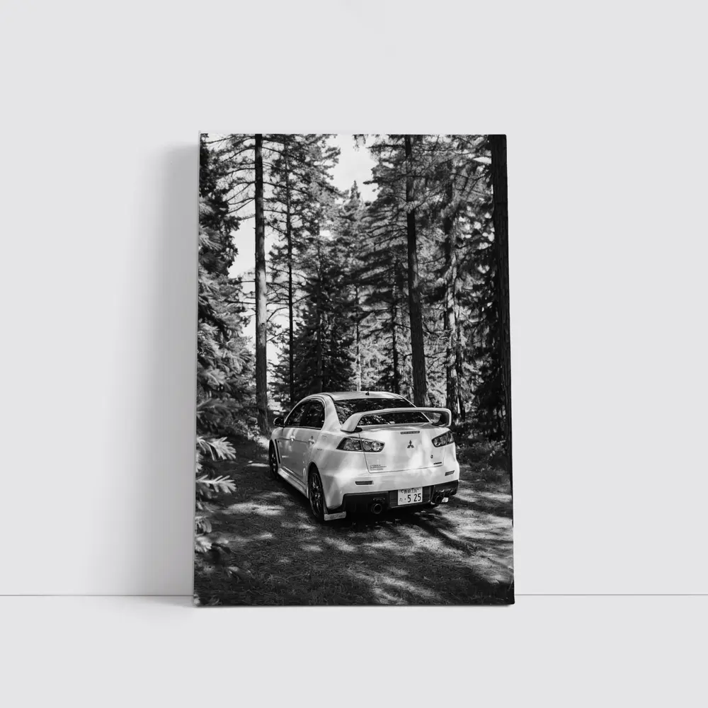 Mitsubishi Lancer Evo Forest Black White – Wall Art