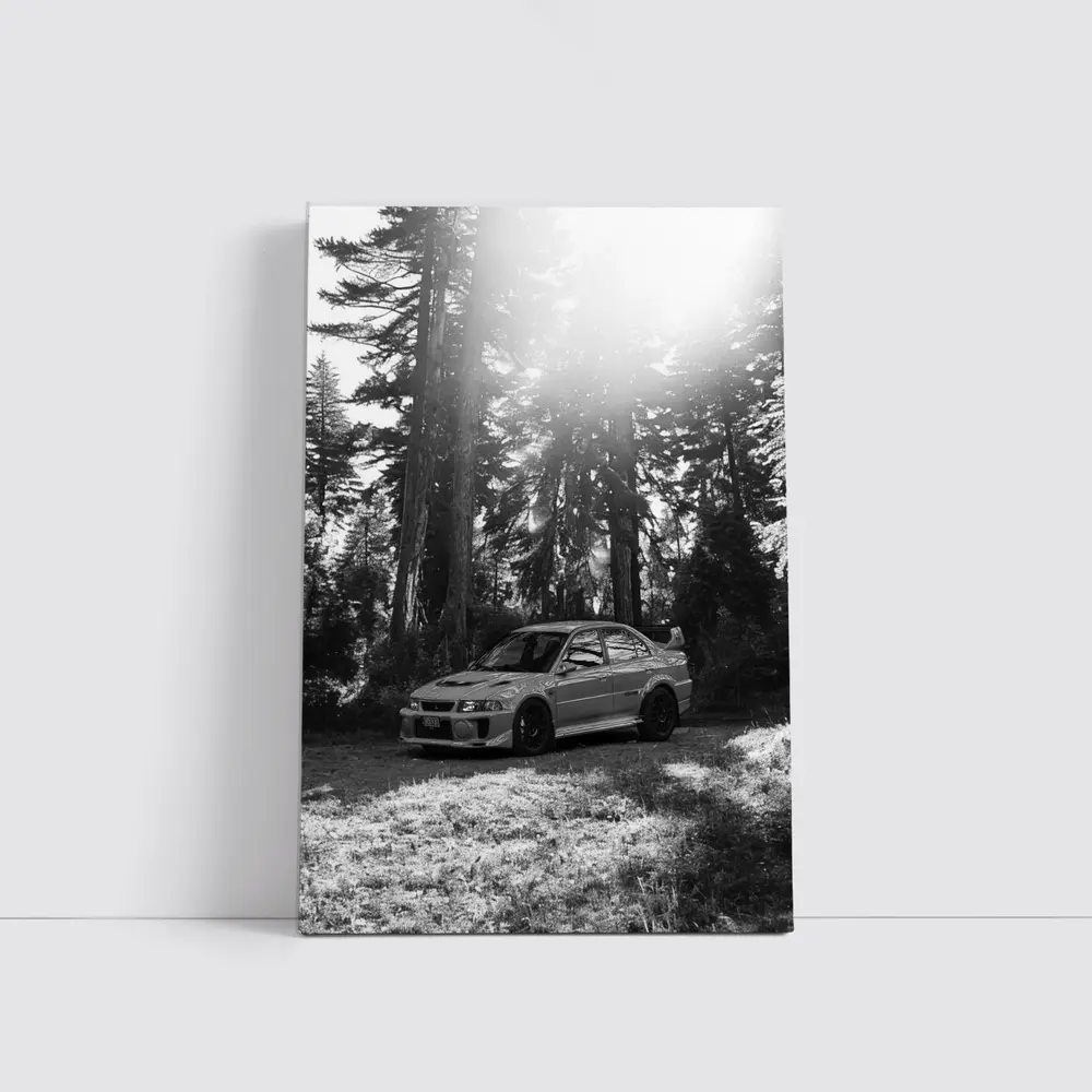 Mitsubishi Lancer Evo Black White Forest – Wall Art