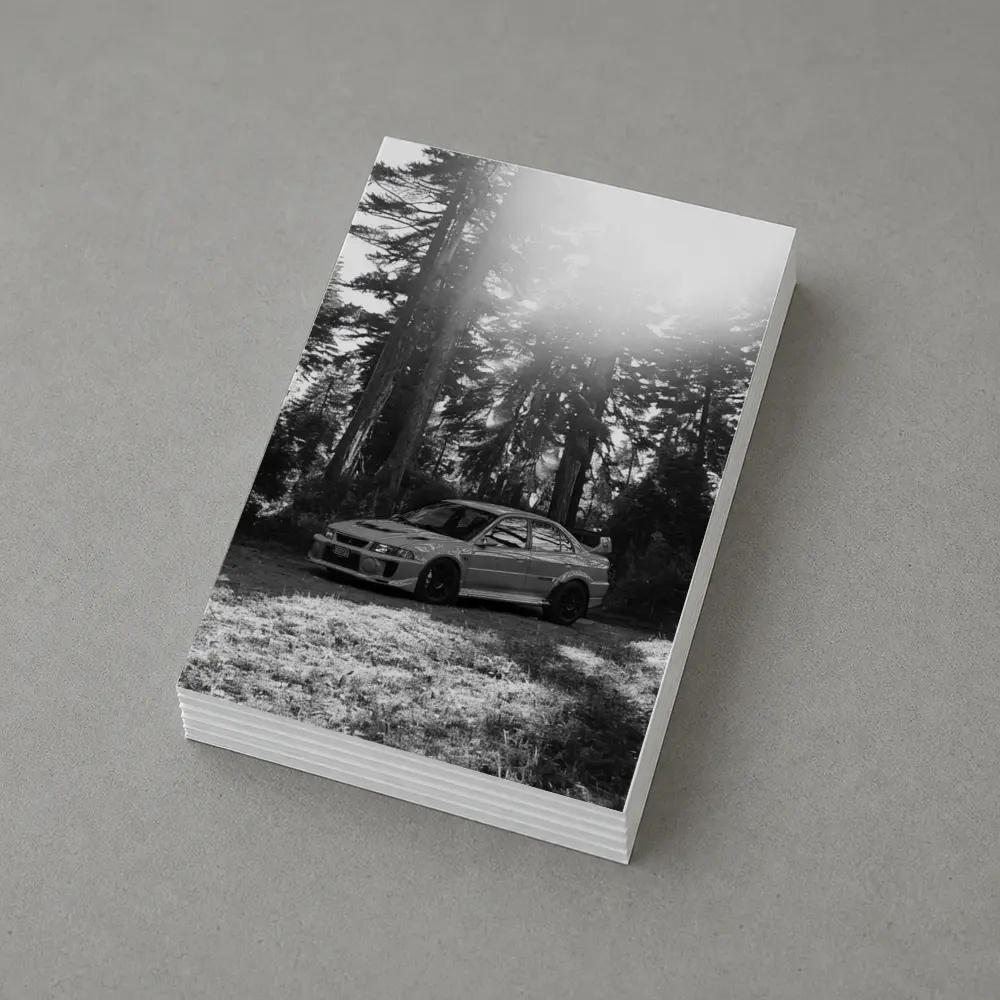 Mitsubishi Lancer Evo Black White Forest – Postcards
