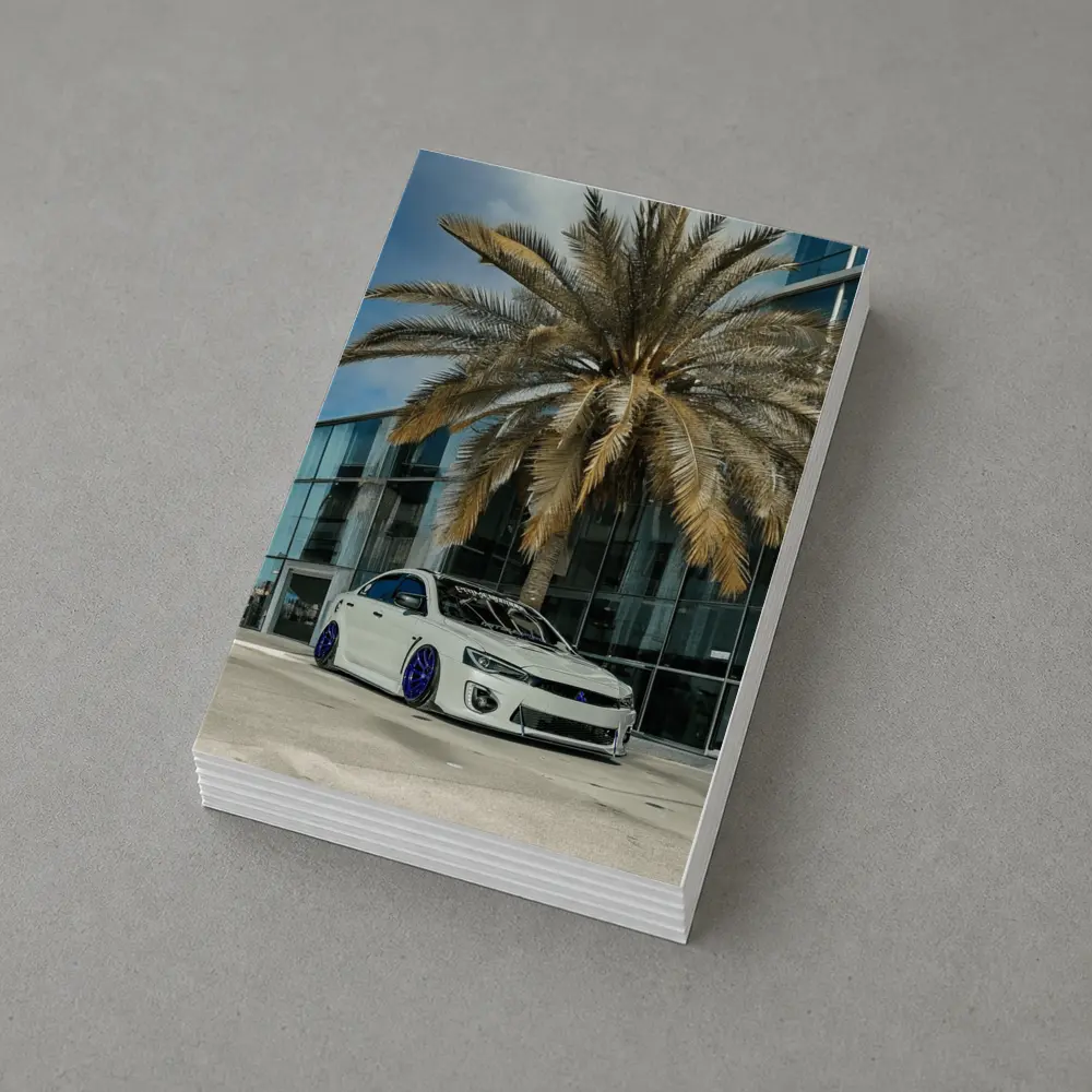 Mitsubishi Lancer Stance Build Palm Tree City – Postcards