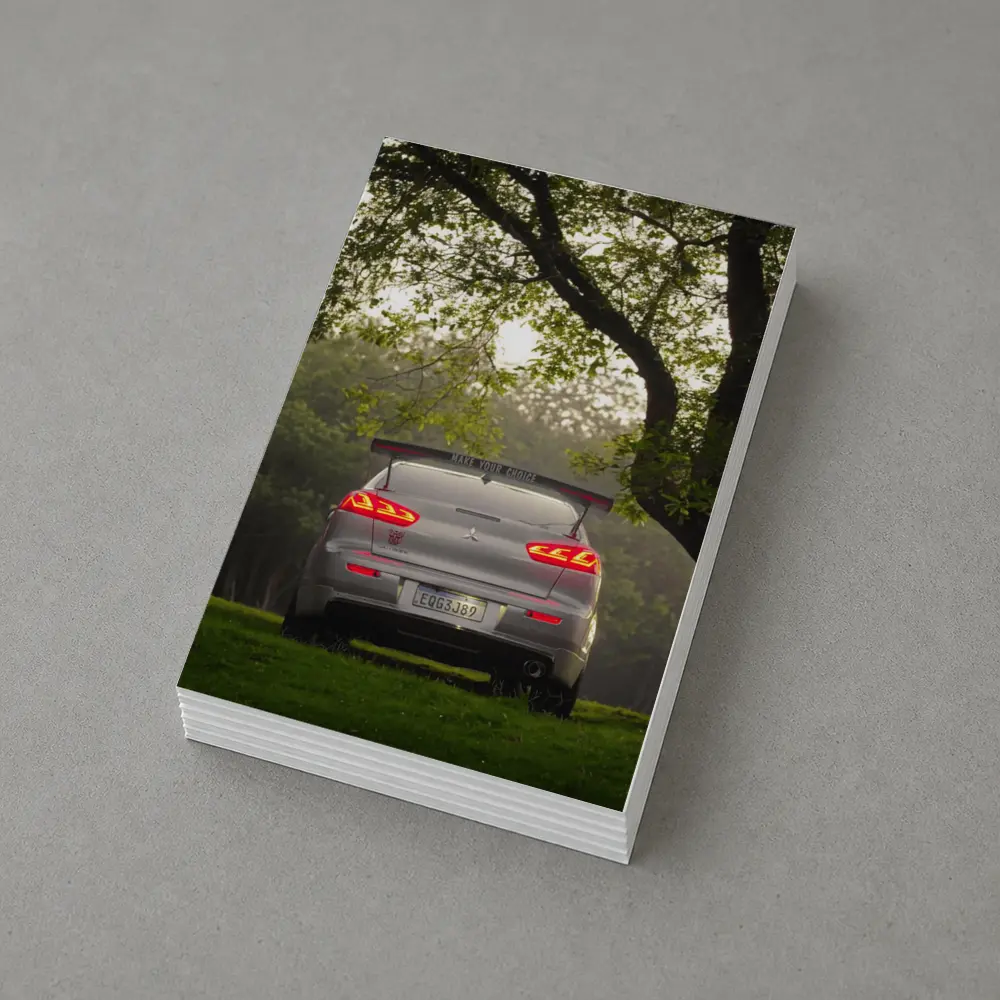 Mitsubishi Lancer Rear View Misty Park – Postcards