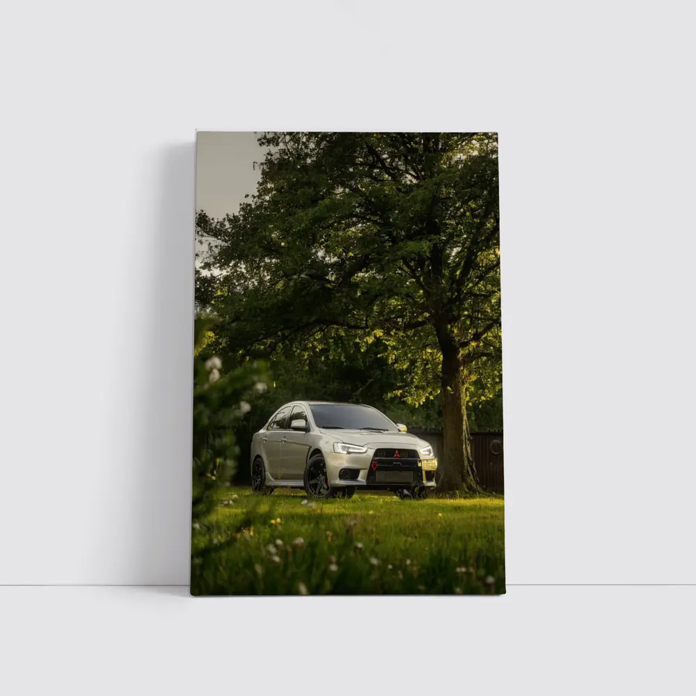 Mitsubishi Lancer Evolution Parked Under Green Trees – Wall Art