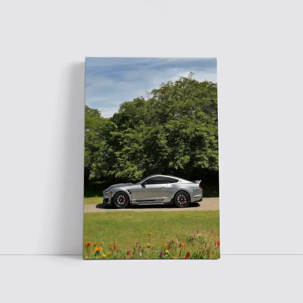 Ford Mustang Shelby GT500 Silver Nature – Wall Art