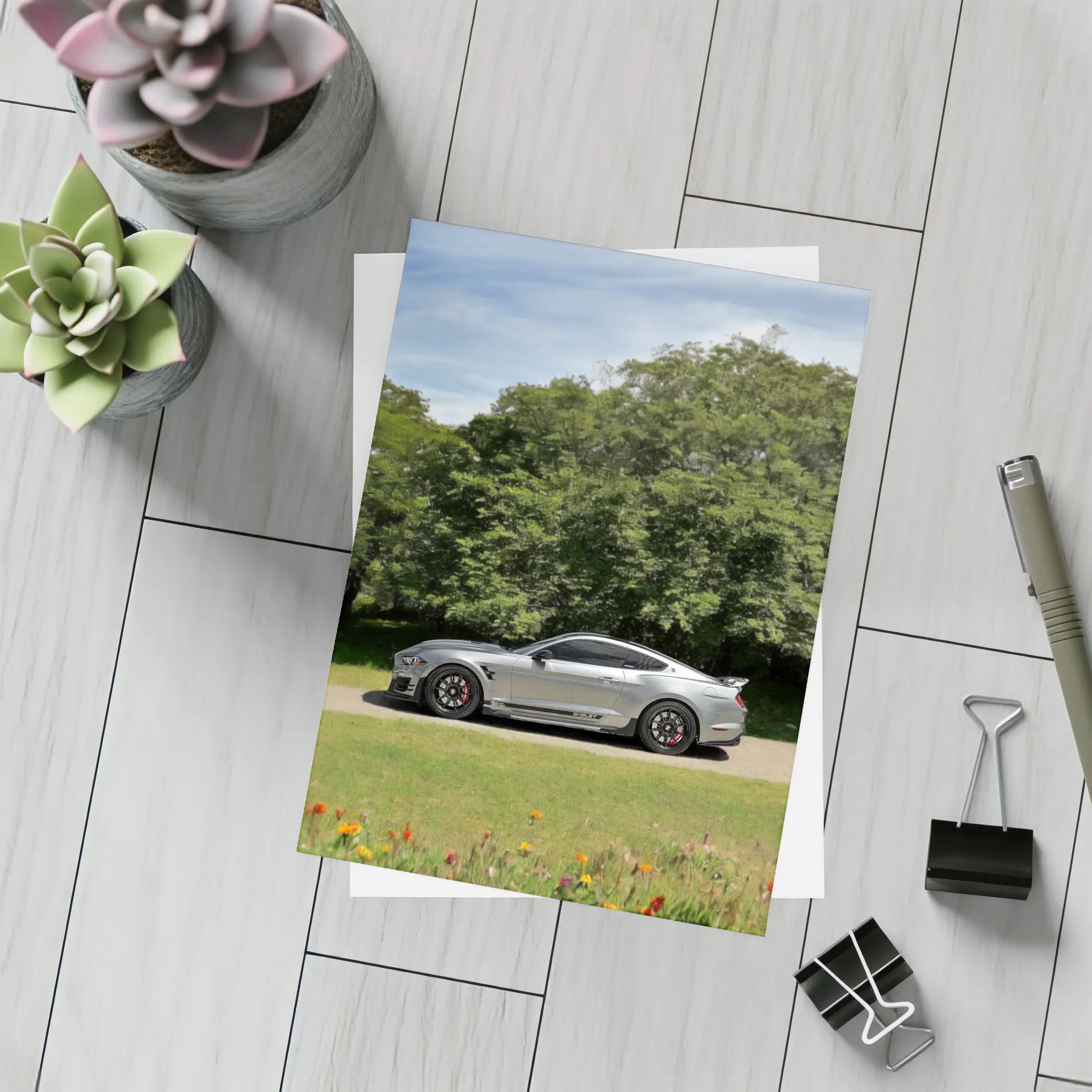 Ford Mustang Shelby GT500 Silver Nature – Postcards