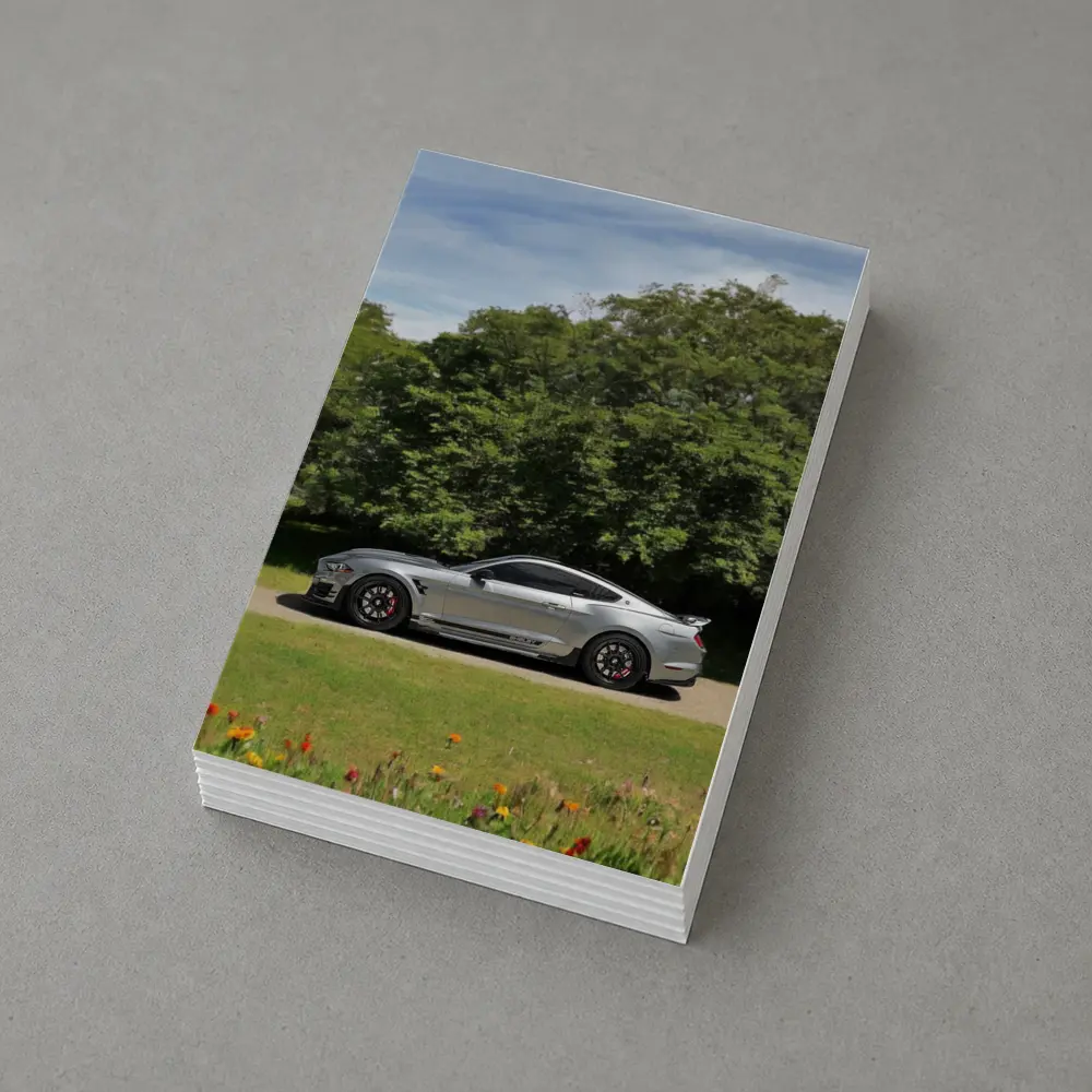Ford Mustang Shelby GT500 Silver Nature – Postcards