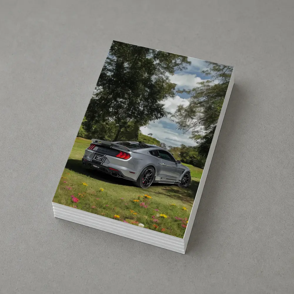 Ford Mustang Shelby GT500 Green Park – Postcards