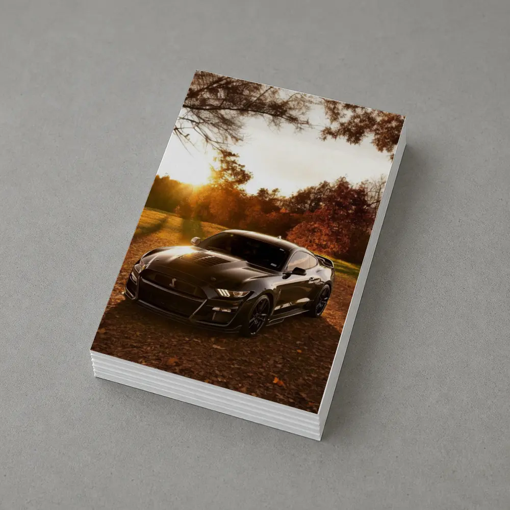 Ford Mustang Shelby GT500 Autumn Sunset – Postcards