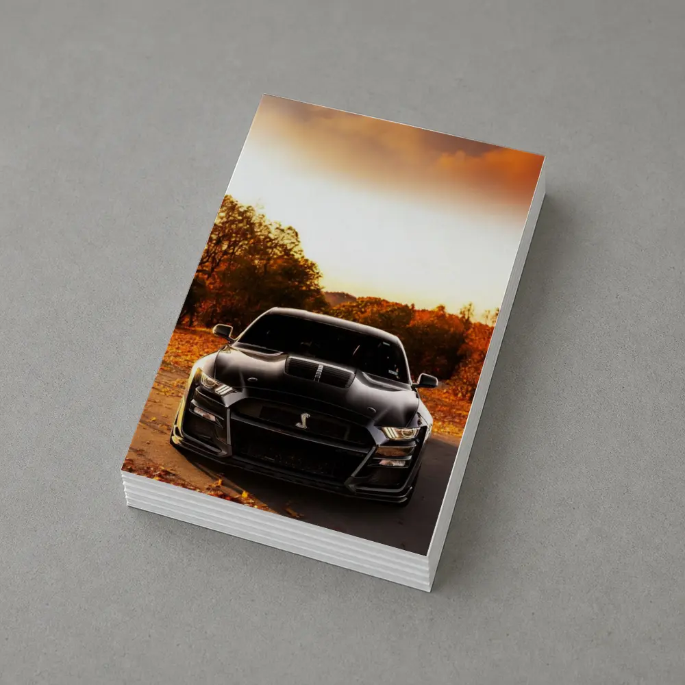 Ford Mustang Shelby GT500 Autumn Sunset – Postcards